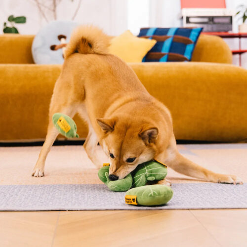 Plush Leaf-Shaped Squeaky Dog Toy - Funnyfuzzy Snu