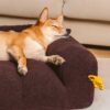Large Soft Supportive Headrest Orthopedic Dog Sofa