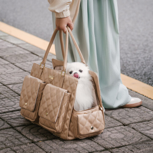 Large Carrying Stylish Multi-Functional Human-Dog 