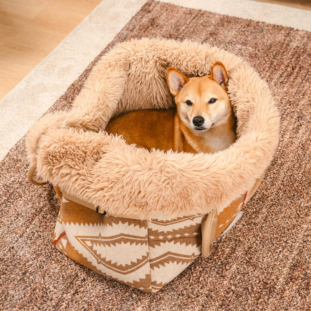 Large Reversible All-Season Indie Boho Pet Carrier