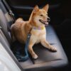 Car Seat Belt Buffer Adjustable Cool Dog Accessori