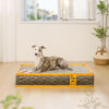 Hooman Innerspring Coils Orthopedic Human Dog Bed 