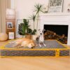 Hooman Innerspring Coils Orthopedic Human Dog Bed 