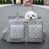 Large Carrying Stylish Multi-Functional Human-Dog 