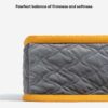Hooman Innerspring Coils Orthopedic Human Dog Bed 