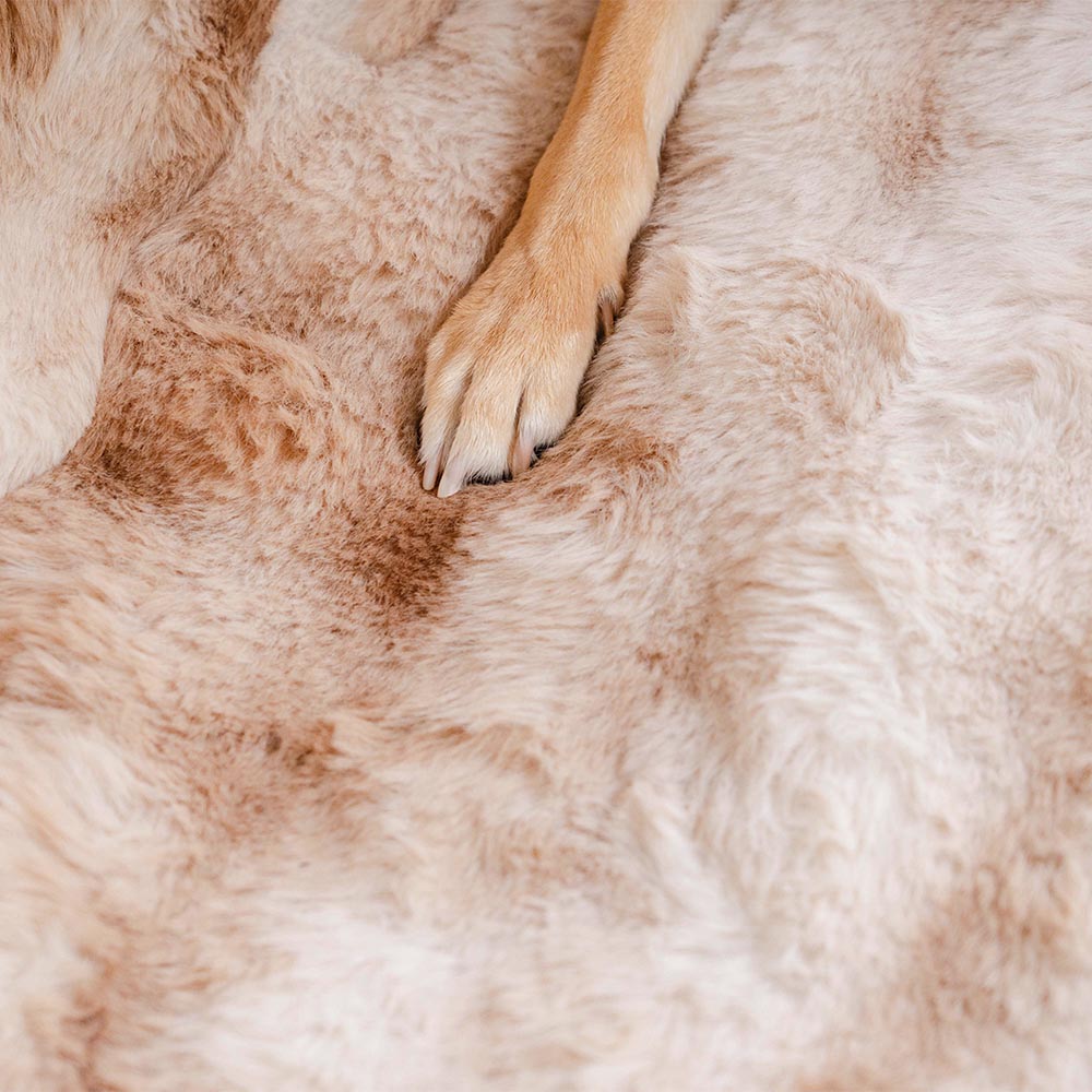 Fluffy Cozy Calming Pet Blanket Car Seat Protector