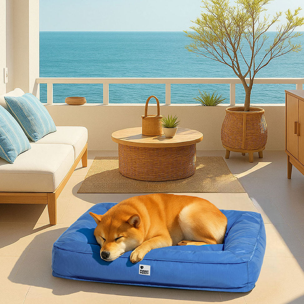 Fully Orthopedic Surround Support Waterproof Large