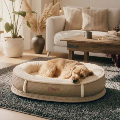 Deluxe Faux Leather & Plush Removable Orthopedic D