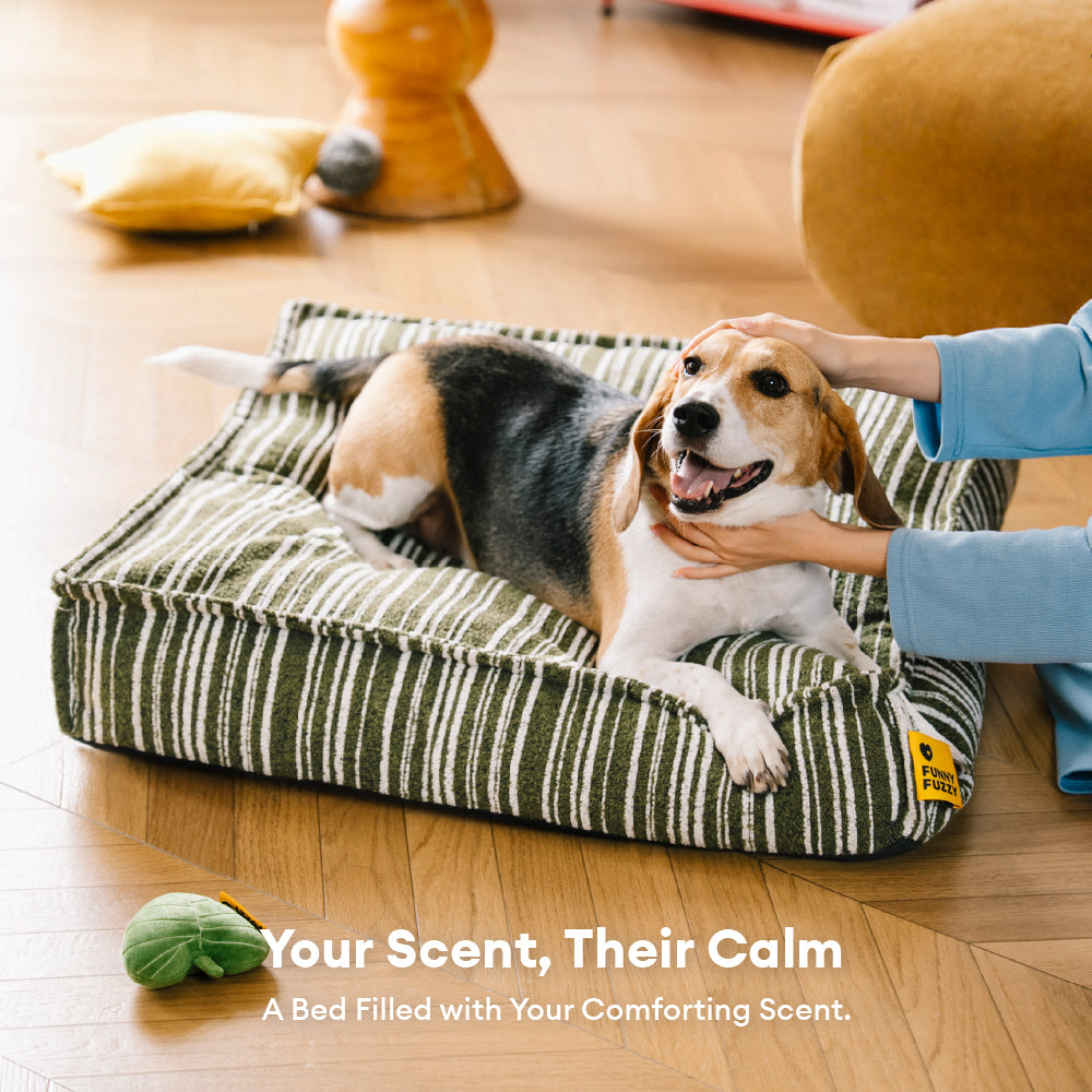 Sustainable Storage Pouf Ottoman & Dog Bed - Funny