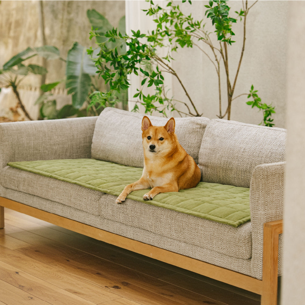 Scratch-proof All-season Stain-resistant Couch Co