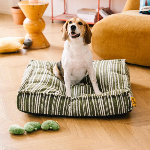Sustainable Storage Pouf Ottoman & Dog Bed - Funny