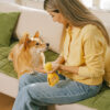 Scratch-proof All-season Stain-resistant Couch Co