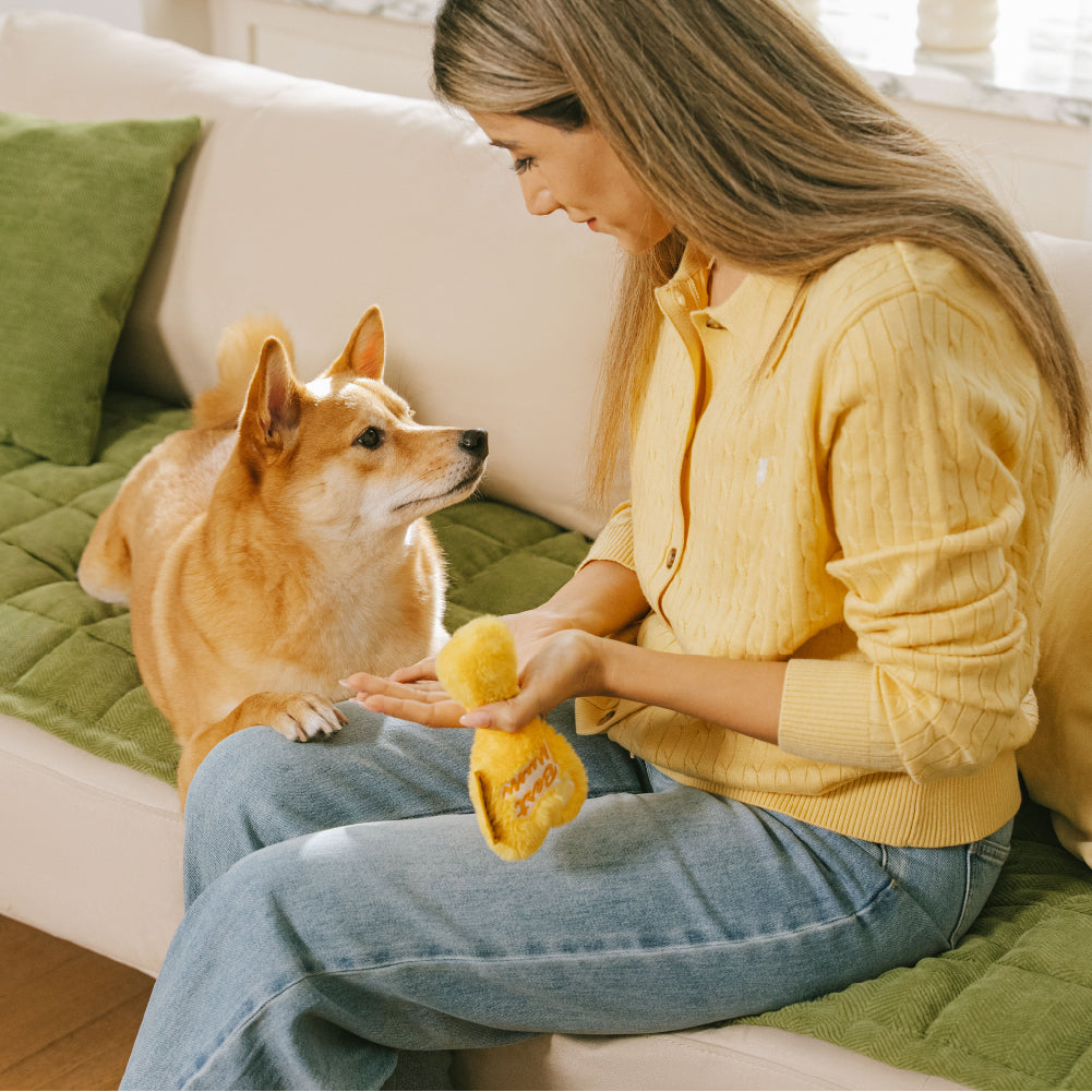 Scratch-proof All-season Stain-resistant Couch Co