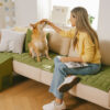 Scratch-proof All-season Stain-resistant Couch Co