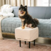 2-in-1 Convertible Wooden Home Step Stool Dog Ramp