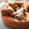 Luxe Diamond Velvet Removable Orthopedic Donut Dog
