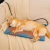 Electrical Pet Heated Pad - Waterproof＆Chewproof F