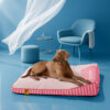 Extra Large Cooling Washable Rectangle Orthopedic 