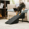 2-in-1 Convertible Wooden Home Step Stool Dog Ramp