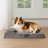 Anti-Anxiety with Sponge Support Deep Sleeping Dog