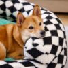 Classic Argyle Washable Bolster Donut Dog Bed - Co