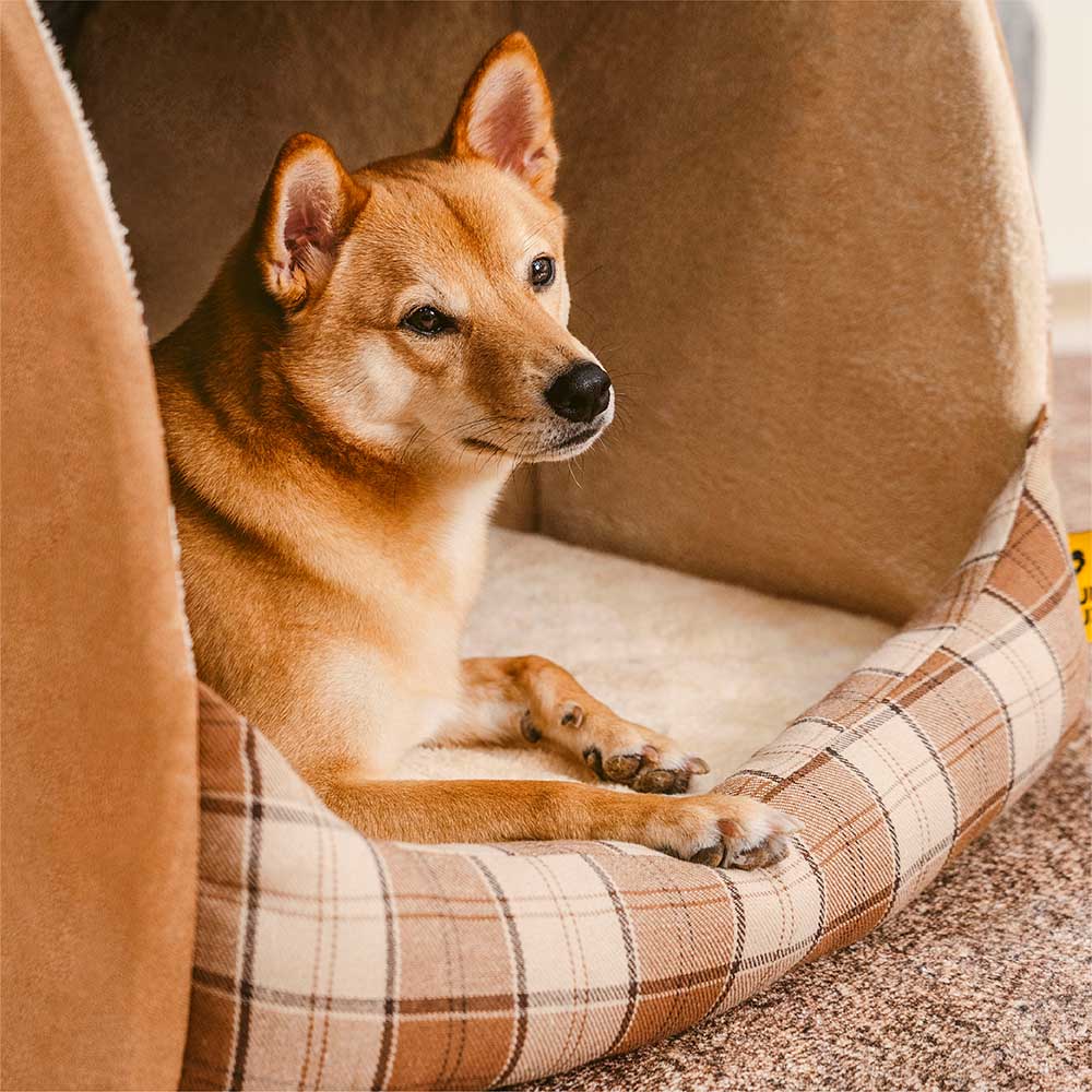 Classical Plaid House Orthopedic Dog Bed - Retreat