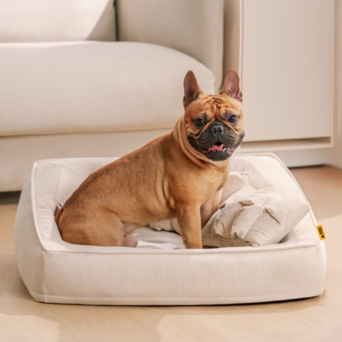 Comfort Orthopedic Support Dog Sofa Bed with Pillo