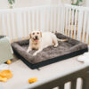 Spacious Cozy Durable Orthopedic Washable Dog & Ca