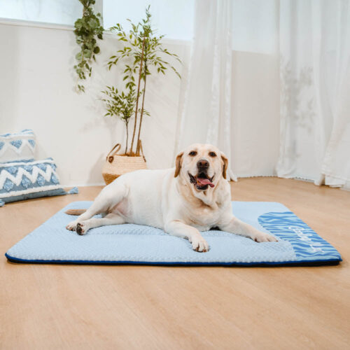 Large Washable Cooling Non-slip Dog Mat - Cooling 