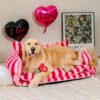 FUNNYFUZZY Valentine's Day Rose Plush Squeaky Dog 