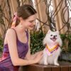 FUNNYFUZZY X Klarna Travel Safety Large Dog Car Se