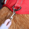 Anti-pull Nylon Dog Car Seat Safety Belt