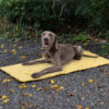 Foldable Waterproof Portable Dog Car Seat Mat Dog 