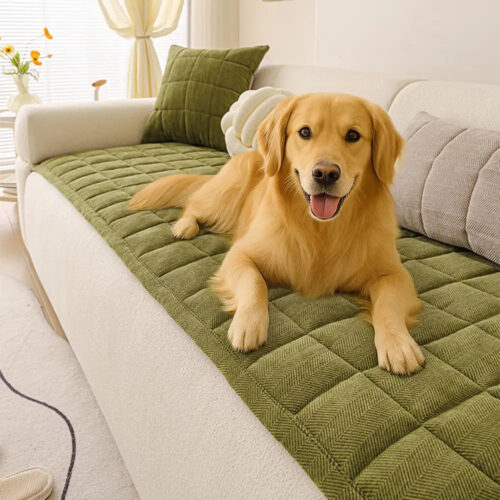 Scratch-proof All-season Stain-resistant  Couch Co