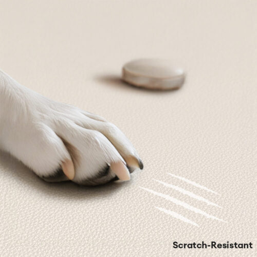 Luxury Natural Latex Supportive Anti-Scratch Dog &