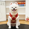Plaid Comfortable Warm Plush Dog Sweater Suitable