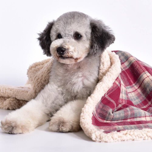 Warm Cozy Plaid Sherpa Fleece Thickened Blanket fo