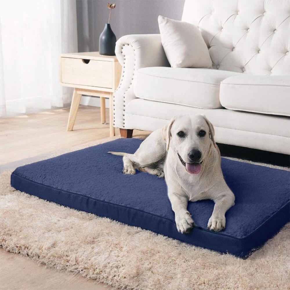 Waterproof Orthopedic Removable Memory Foam Large