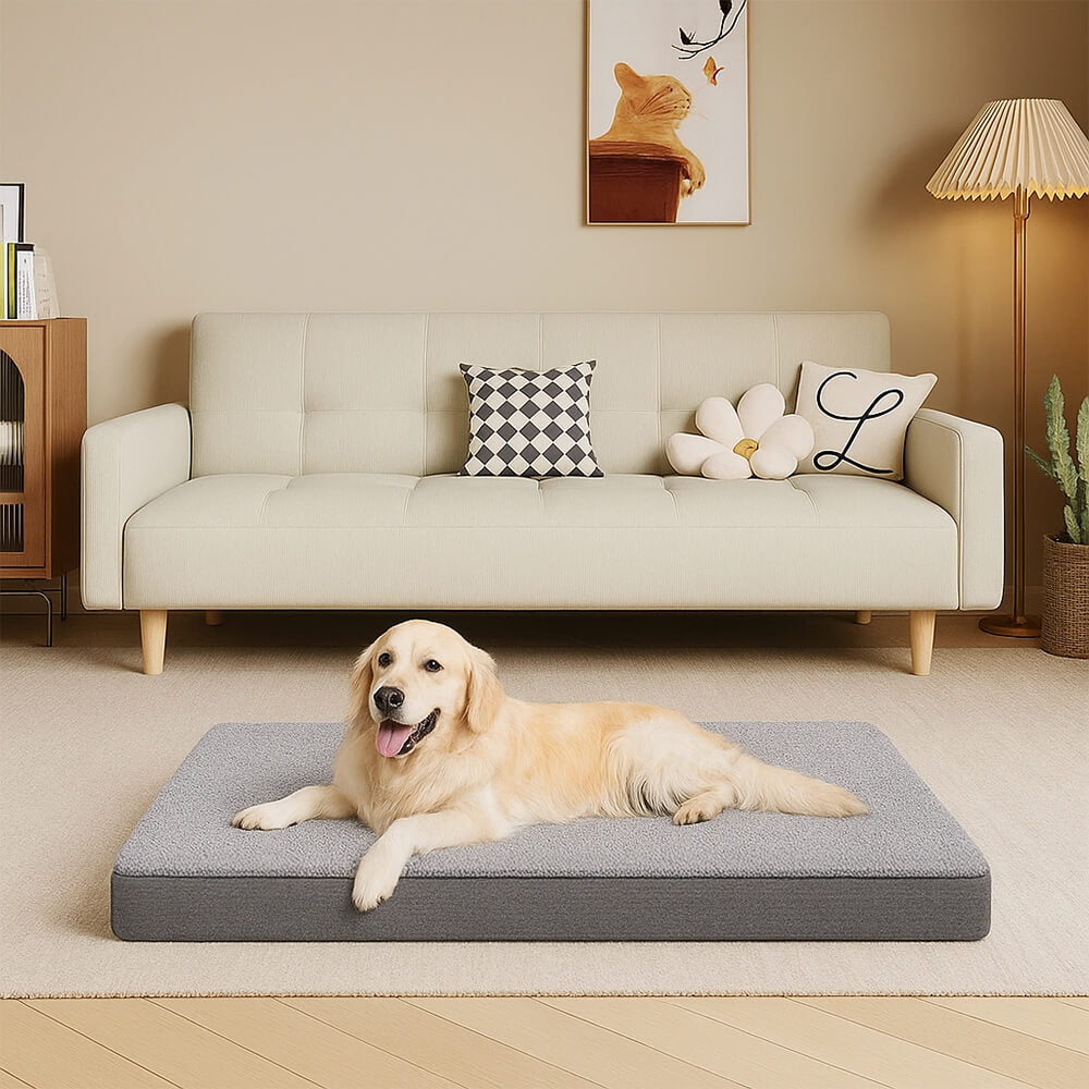 Waterproof Orthopedic Removable Memory Foam Large