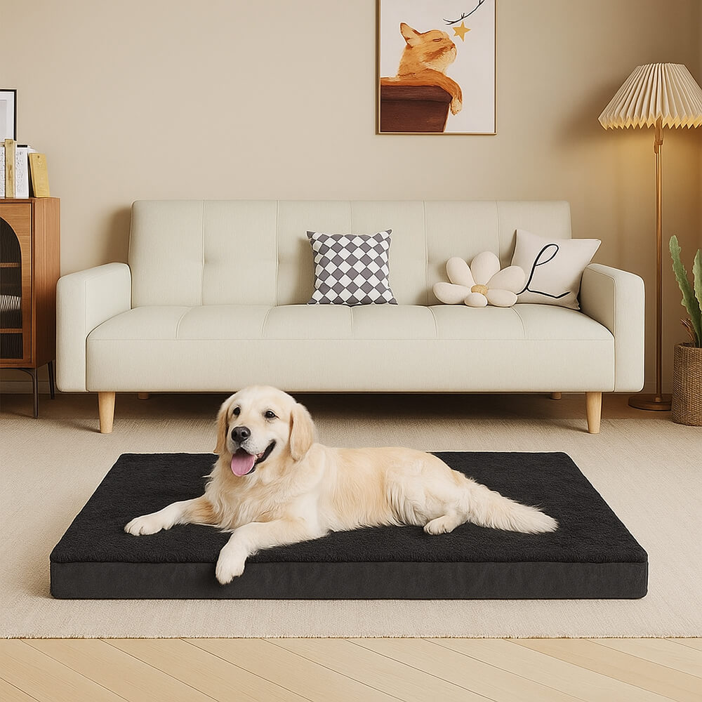 Waterproof Orthopedic Removable Memory Foam Large