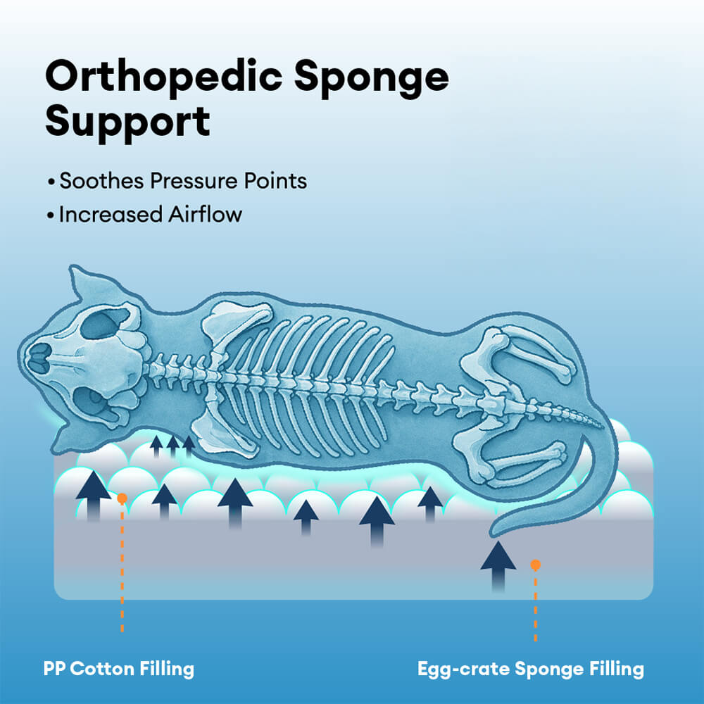 Waterproof Orthopedic Removable Memory Foam Large
