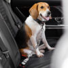 Car Seat Belt Buffer Adjustable Cool Dog Accessori