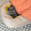 Donut Fluffy Orthopedic Dog Bed