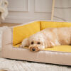 Ultimate Lounger Full Support Comfortable Orthoped