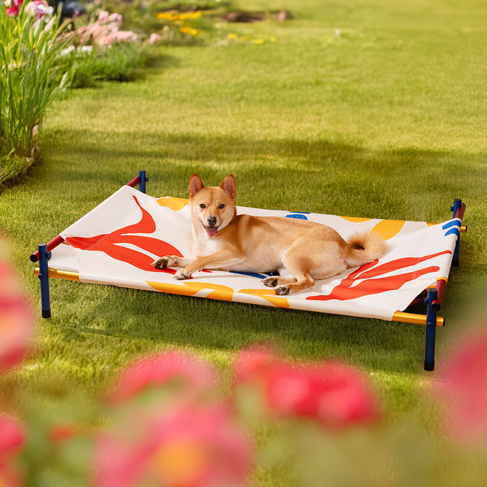 Vibrant Summer Print Style Aluminum Elevated Dog B