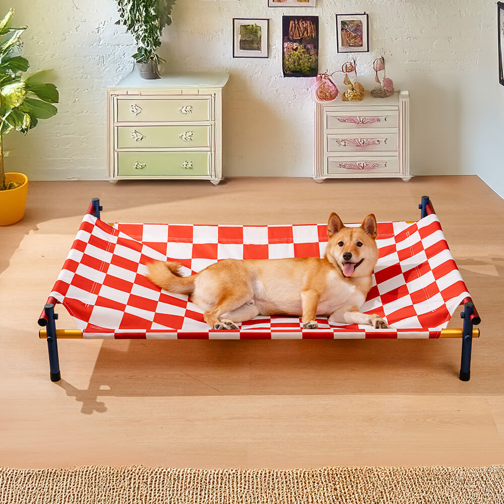 Vibrant Summer Print Style Aluminum Elevated Dog B