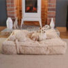 Warming Fluffy Bone Cloud Shape Calming Dog Bed