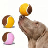 Interactive Tennis Ball Dog Toy