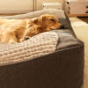 Large Thick Scratch-resistant Spine Protection Dog