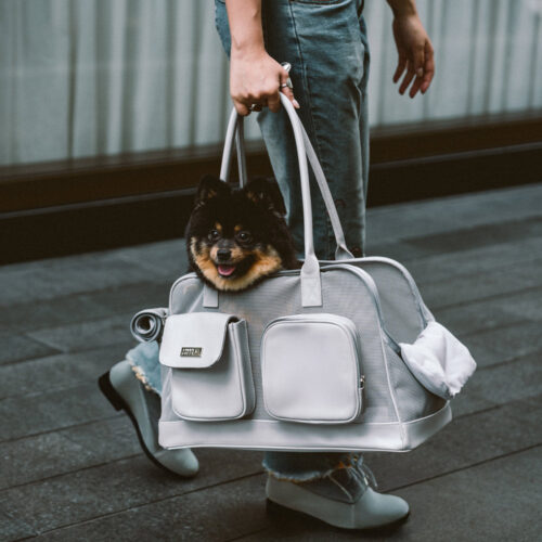 Lightweight Breathable Mesh Safe Pet Carrier - Urb